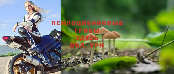 круглые Алексеевка