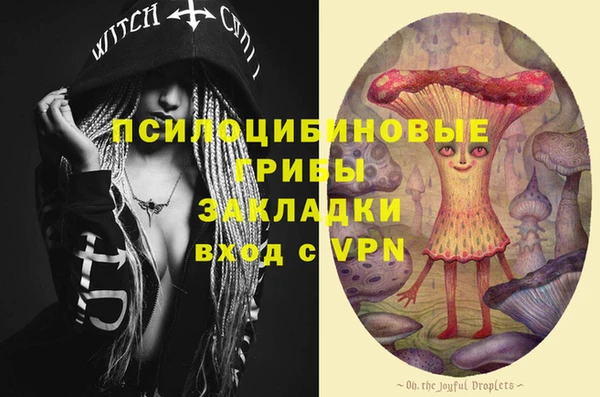 тгк Абдулино