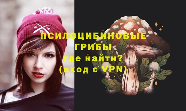 шишки Алзамай
